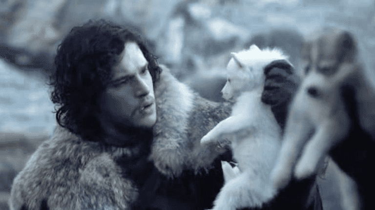 Game of Thrones reviewed by someone that’s never seen Game of Thrones before