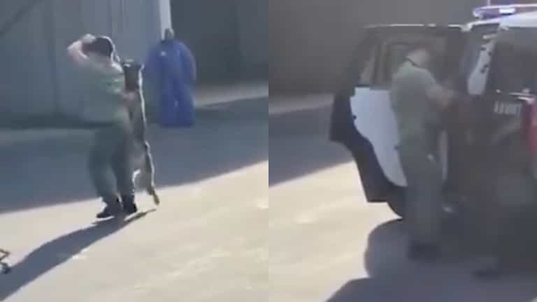 Policeman resigns over video of him choking police dog
