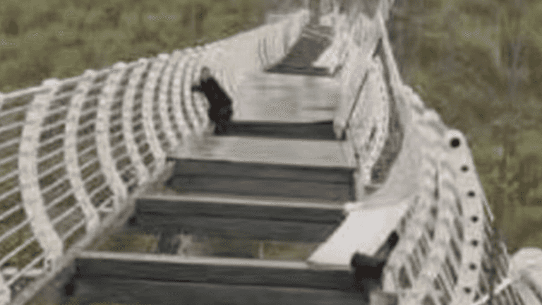 China tourist left clinging to 100m-high bridge after glass panels smash