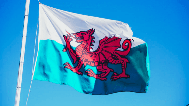 People demand dragon on Welsh flag be given a penis People demand dragon on Welsh flag be given a penis