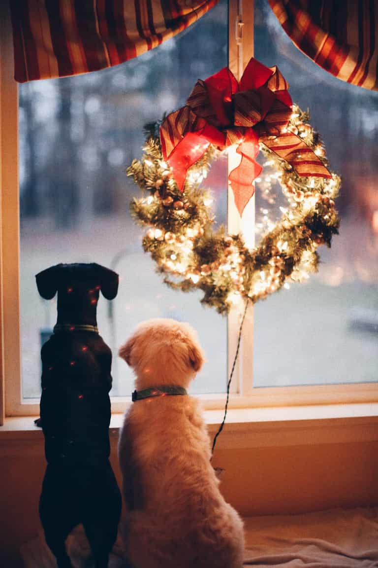 Putting up Christmas decorations earlier could make you happier, according to experts Putting up Christmas decorations earlier could make you happier, according to experts