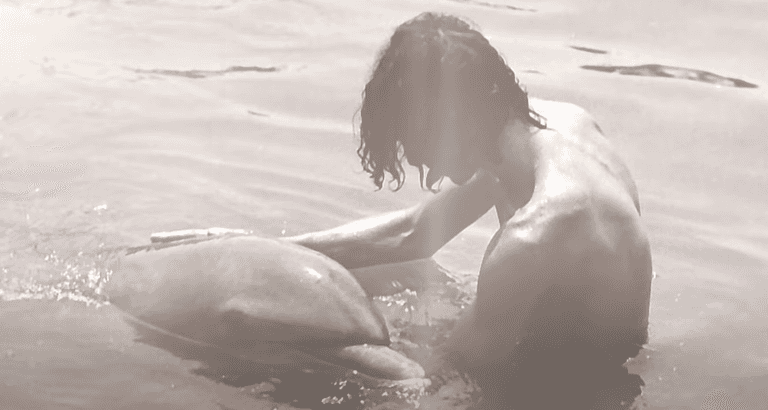 Man claims dolphin seduced him and it led to a sexual relationship