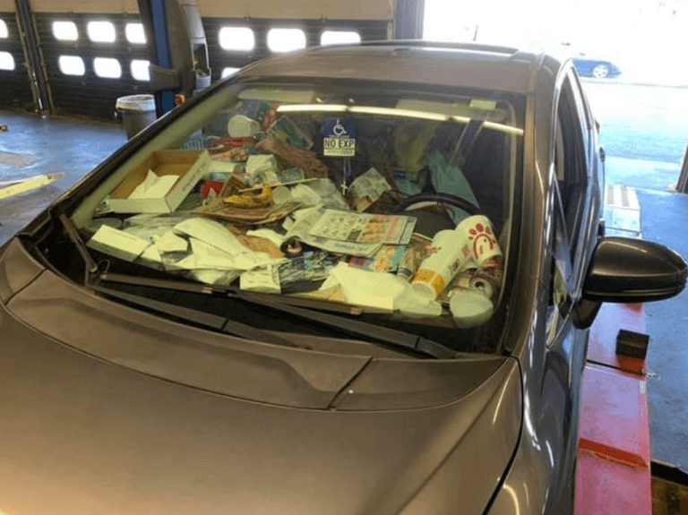 Drivers could be fined thousands for not keeping inside of their cars clean