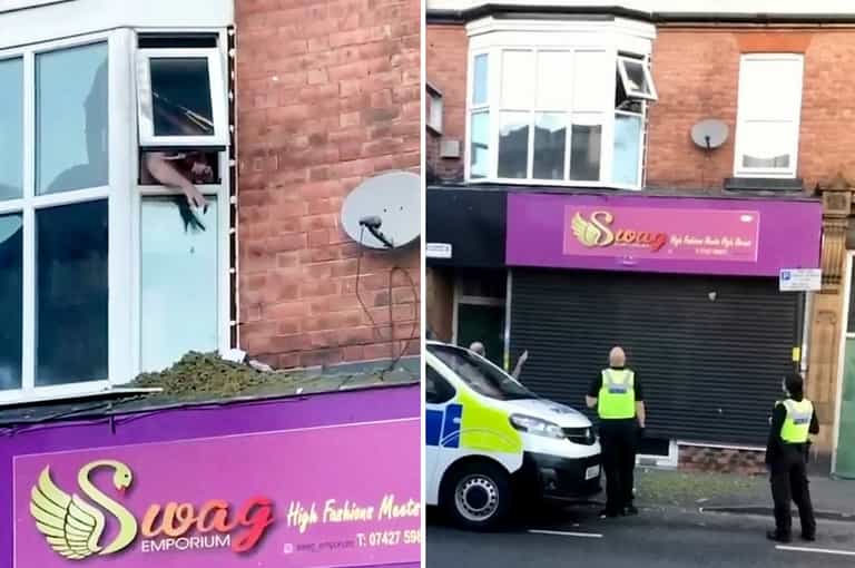Dopey suspect filmed throwing cannabis stash out window police are standing in front of