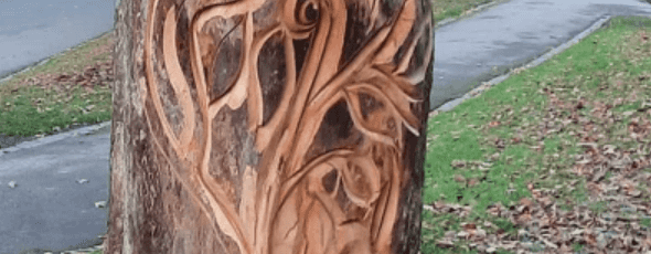 This 20ft wooden erection with veiny carvings has got park visitors really excited