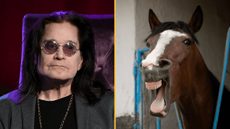 Ozzy Osbourne says he gave up acid after horse told him to ‘f**k off’