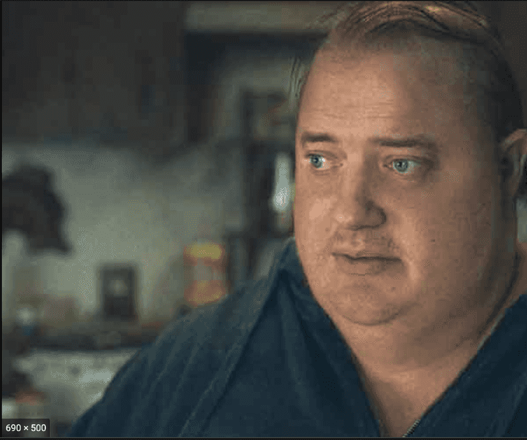 Reviewer’s warning that ‘fat people’ should avoid The Whale has worried fans