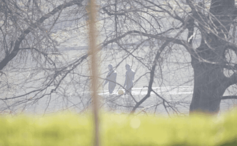 Woman’s head found in park as police find body parts in plastic bag