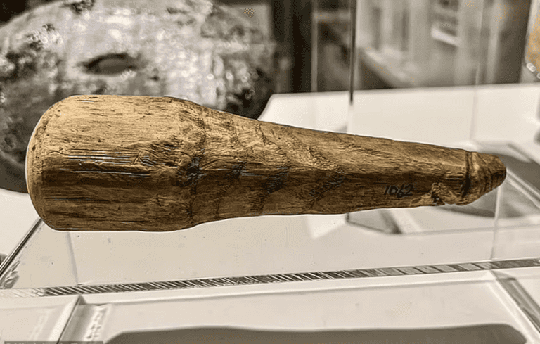 Wooden implement dating back 2,000 years might be ‘Britain’s oldest sex toy’