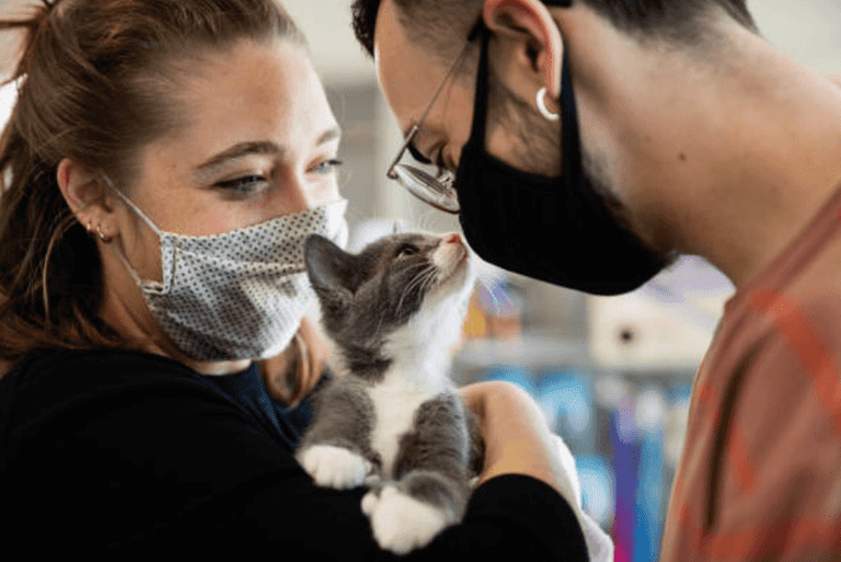 Ex-minister behind covid Test and Trace reveals government considered killing every cat in UK