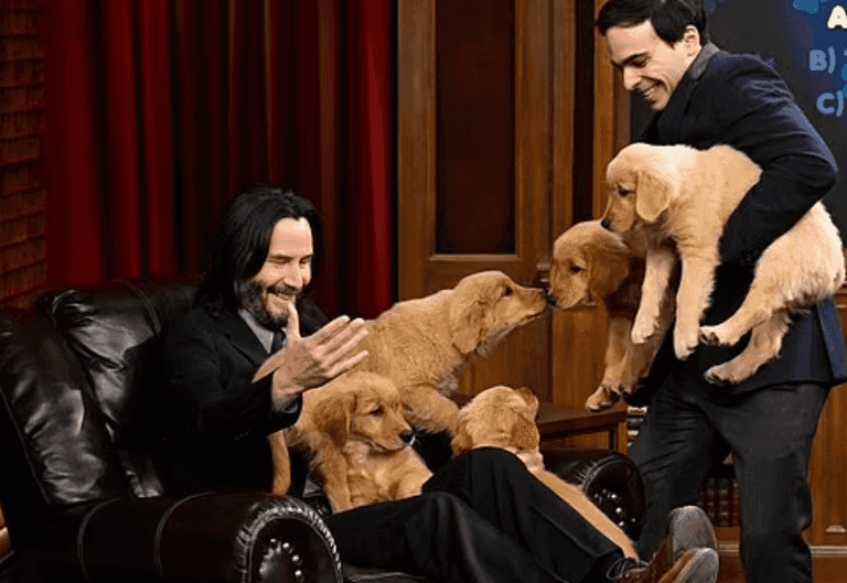 Keanu Reeves cuddles up with adorable puppies during TV interview