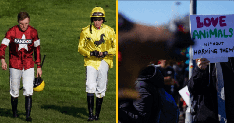 Trainer blames protestors for the death of his horse in the Aintree Grand National