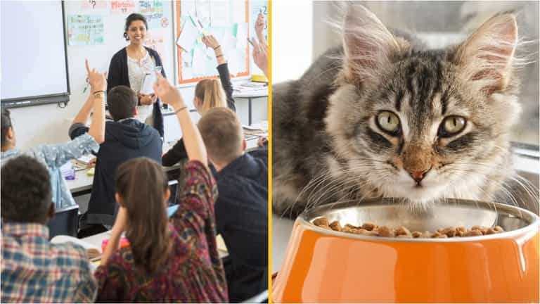 Teacher labels schoolgirl ‘despicable’ after she refuses to accept that someone can ‘identify as a cat’