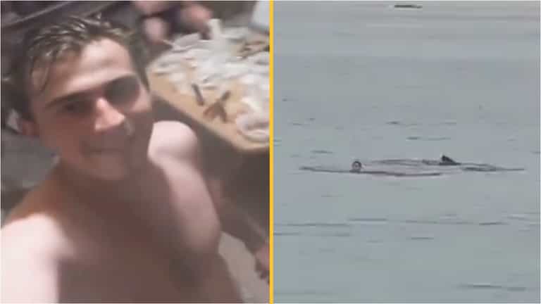 Harrowing details emerge after man was eaten alive by shark