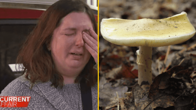 Five people sit down for a family meal – a week later three are dead