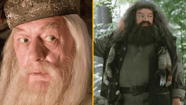 25 Harry Potter stars have now died since the first film