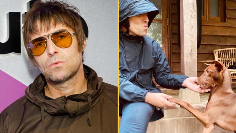Liam Gallagher adopts stray dog from Thailand after application stuns sanctuary owner