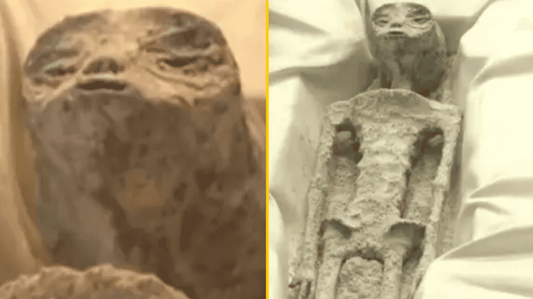 ‘Alien corpses’ unveiled by scientists in hearing showing ‘proof’ of extraterrestrial life