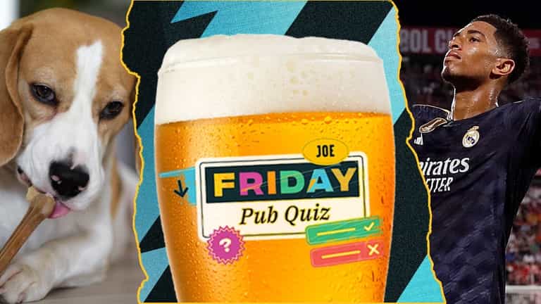 The JOE Friday Pub Quiz: Week 367