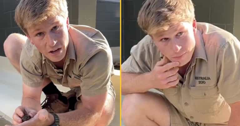 Steve Irwin’s son fights back tears as he achieves conservation milestone