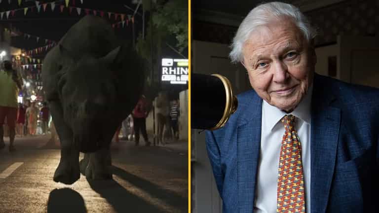 Viewers struggle to get through first trailer for Planet Earth III