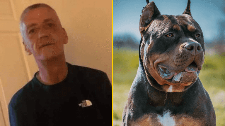 Dad ‘murdered’ in horror XL Bully attack on Sunderland street named