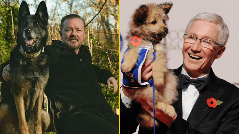 Ricky Gervais and Amanda Holden considered for Paul O’Grady’s For The Love Of Dogs remake