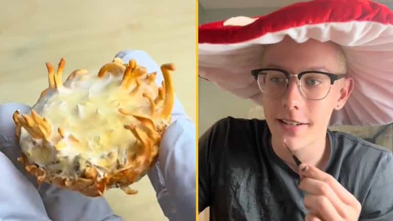 People fear The Last Of Us will happen after man grows zombie fungus from his skin and eats it