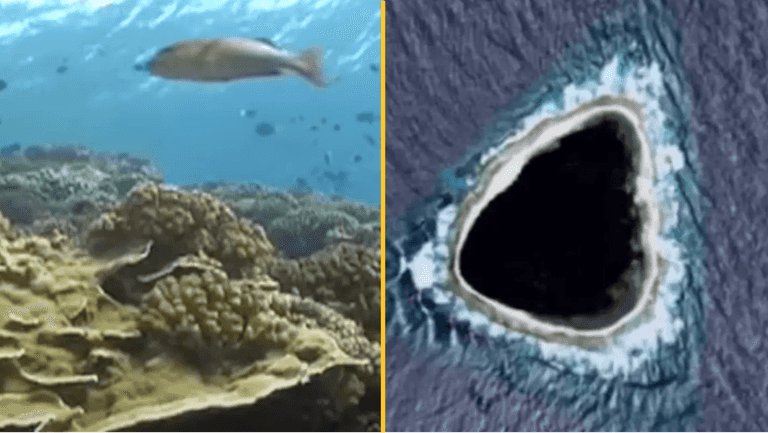 Diver shares incredible reality of hollow island completely blacked out on Google Maps