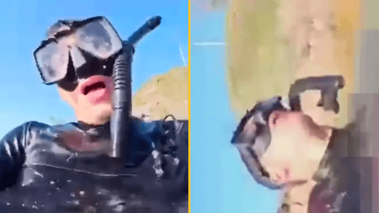 Man who recorded ‘final moments’ during shark attack ‘wanted to say goodbye’
