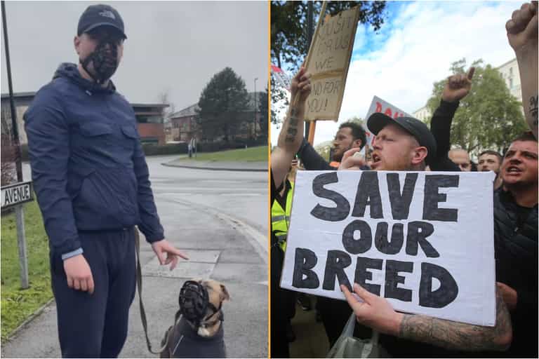 XL Bully owners are wearing muzzles in solidarity with their dogs XL Bully owners are wearing muzzles in solidarity with their dogs