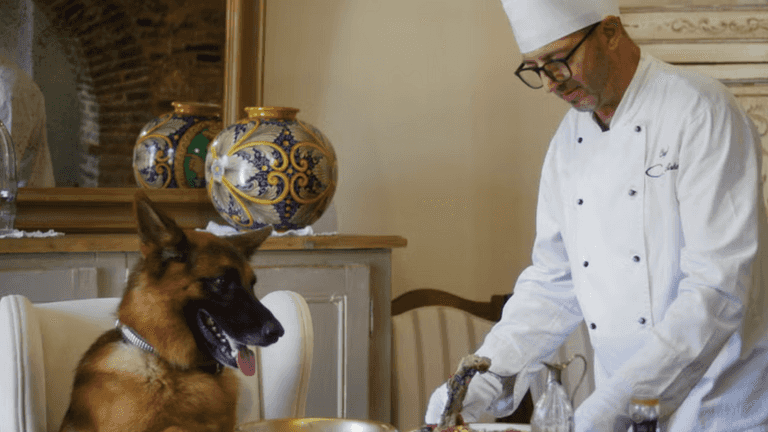 Elderly woman leaves £2.2 million to beloved pets instead of children