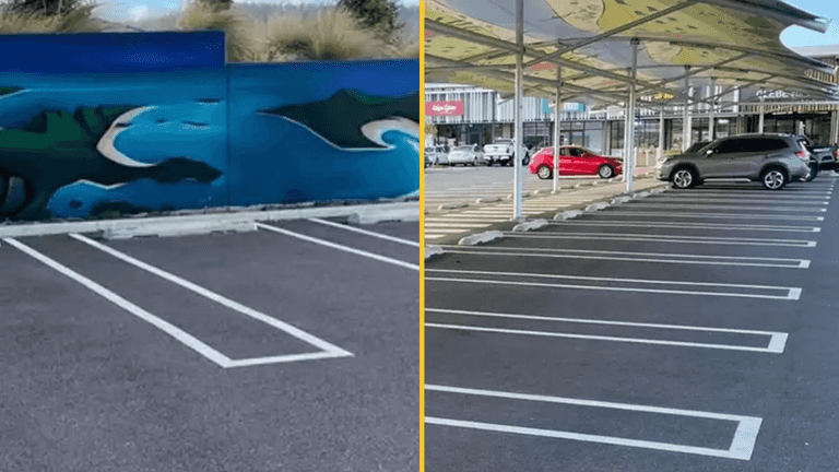 People are calling for this ‘genius’ parking feature to be implemented everywhere