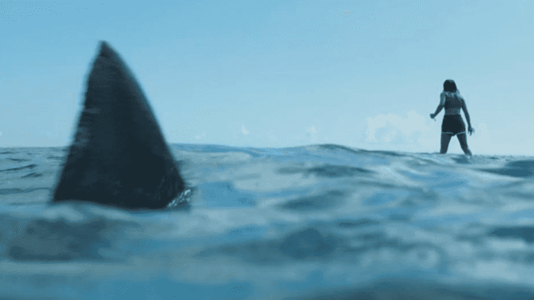 Netflix has just added a new shark movie perfect for Under Paris fans