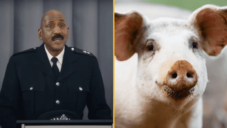 Police condemn new ITV comedy show with “highly offensive” name