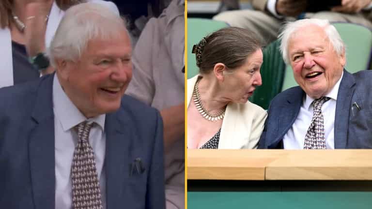 Sir David Attenborough receives standing ovation as he arrives at Wimbledon Centre Court