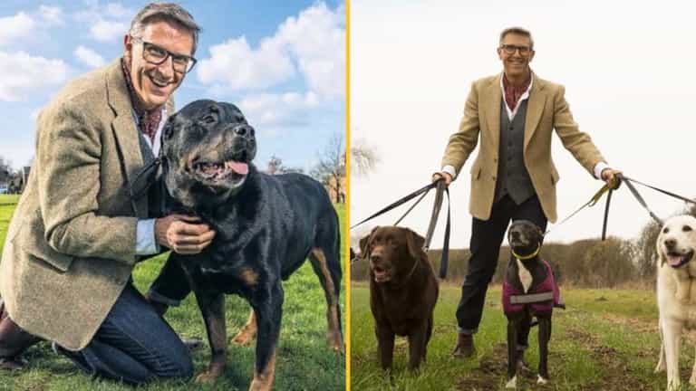Channel 5 is looking for owners of naughty dogs to take part in Dogs Behaving (Very) Badly