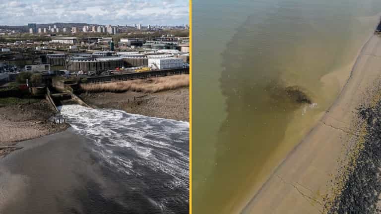 Water companies face £168m fines for dumping sewage in rivers and seas