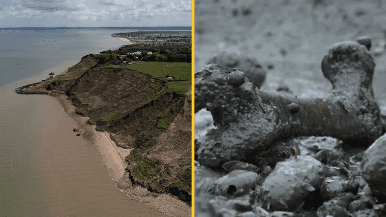 No one is allowed to set foot on ‘world’s most infected island’