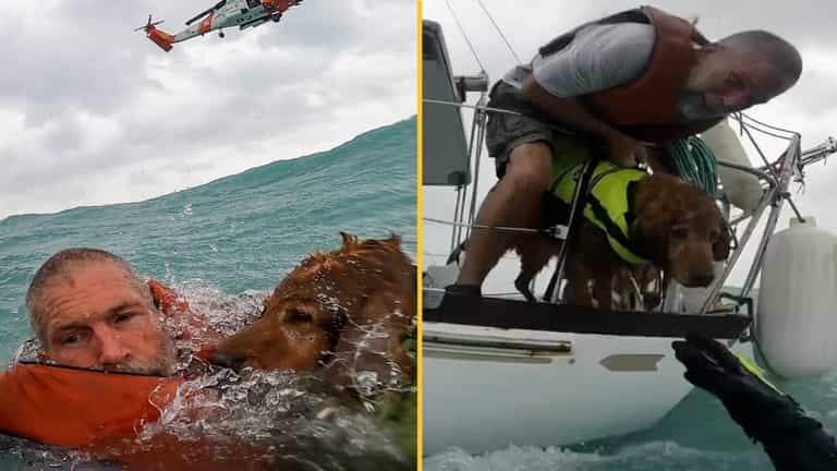 Sailor caught in hurricane shares heartbreaking message he told his dog as they sank