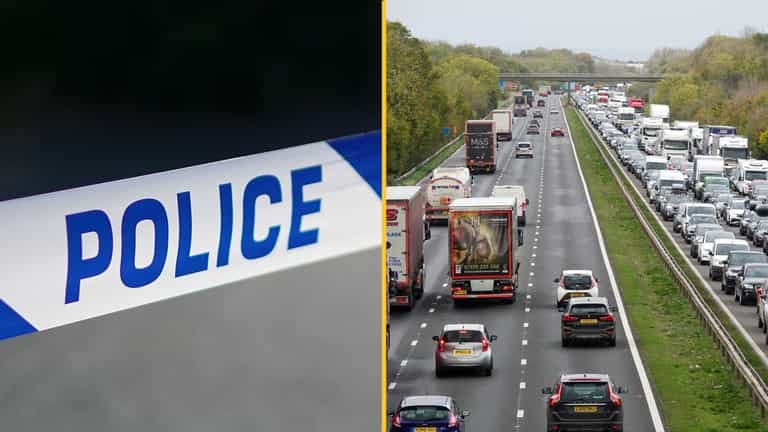 Girl, 17, dies after getting out of police vehicle on M5