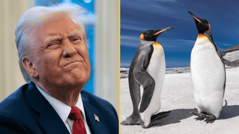 Donald Trump puts tariff on island only populated by penguins