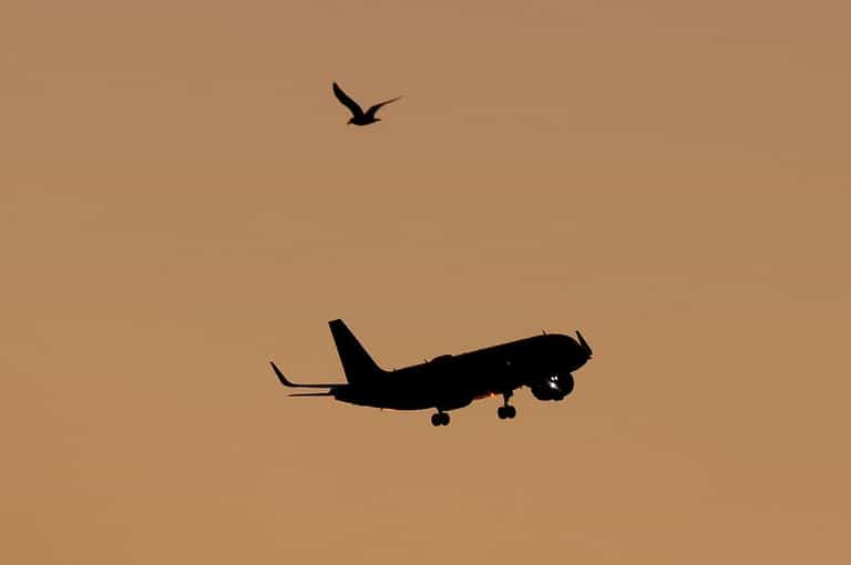 Airport stops all flights as it closes down for good today after 90 years