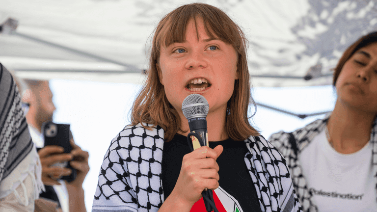 Greta Thunberg ‘kidnapped by Israeli forces’ as aid ship ‘diverted to Israel’