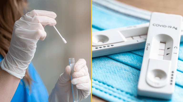 Covid cases climb to highest level this year