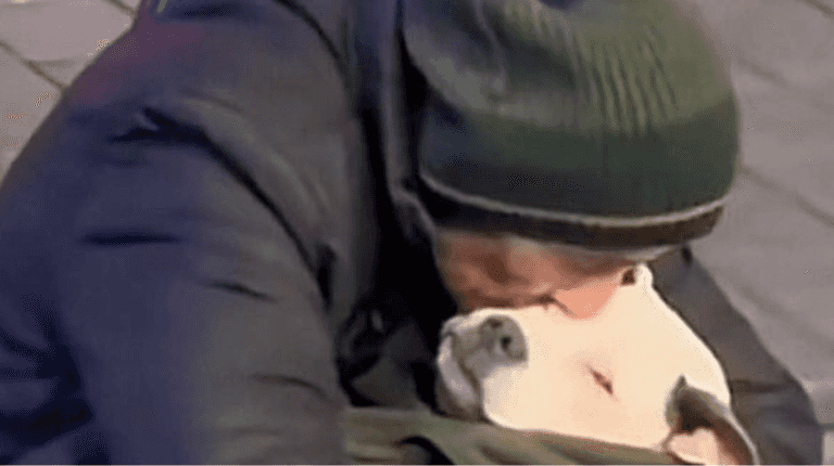 Homeless man rocks his dog to sleep every night saying his dog struggles to adjust to homelessness Homeless man rocks his dog to sleep every night saying his dog struggles to adjust to homelessness