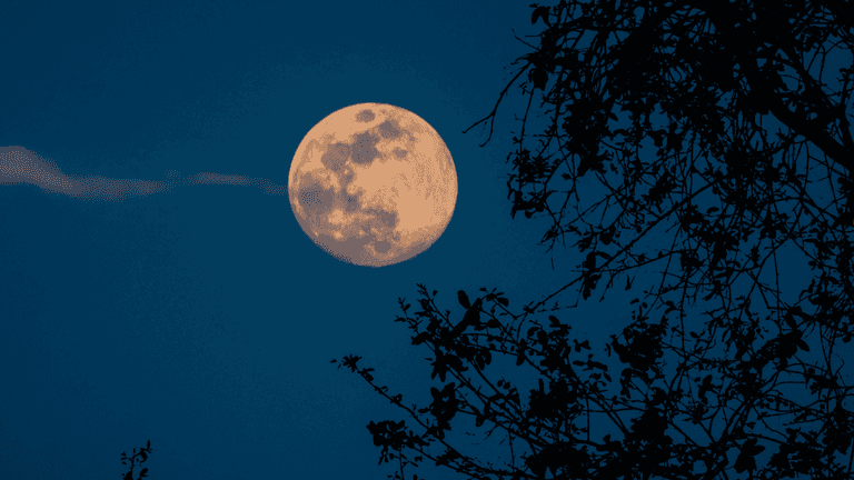 ‘Brightest and biggest’ Beaver supermoon to be visible in UK skies tonight