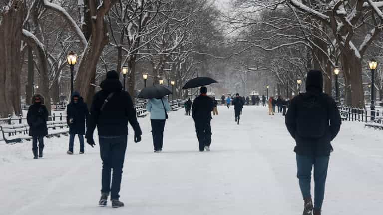 State of emergency declared as storm grounds thousands of flights in New York