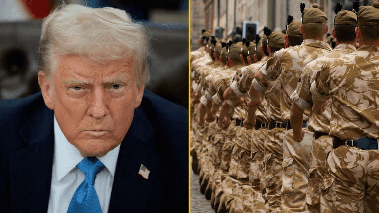 British MP says Trump ‘can go f*** himself’ after claiming NATO allies avoided Afghanistan front lines