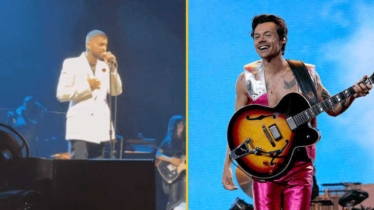 Zayn Malik hits out at Harry Styles with subtle dig during gig